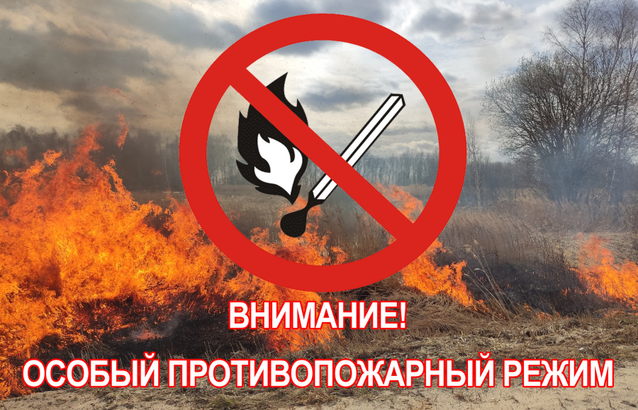 С 5 июля в Севастополе вводится особый противопожарный режим