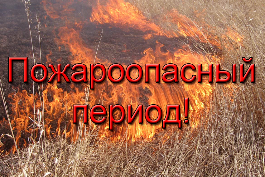 Пожароопасный сезон в Севастополе начнётся с 19 апреля